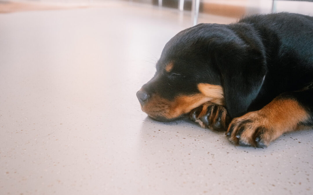 Gezellig interieur met een onderhoudsvriendelijke PU gietvloer met flakes in beigetint.