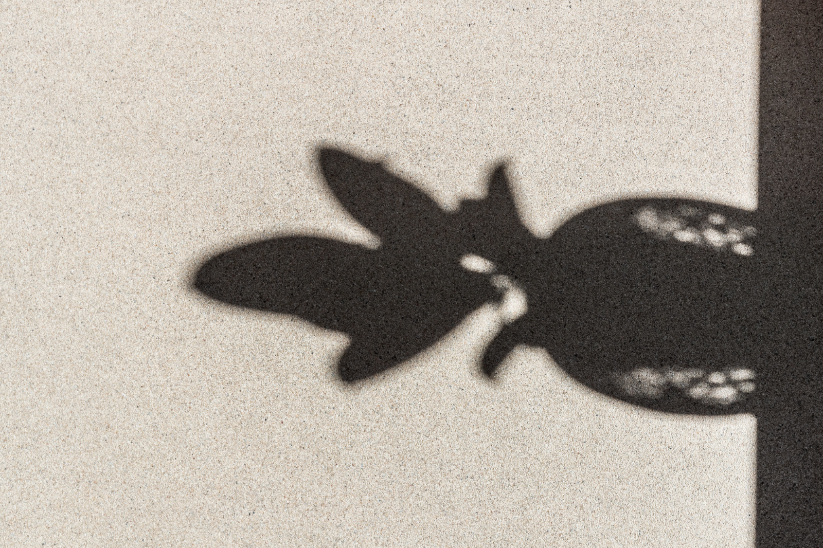 Detail van een naadloze lichte troffelvloer met fijne korrelstructuur en natuurlijke lichtinval