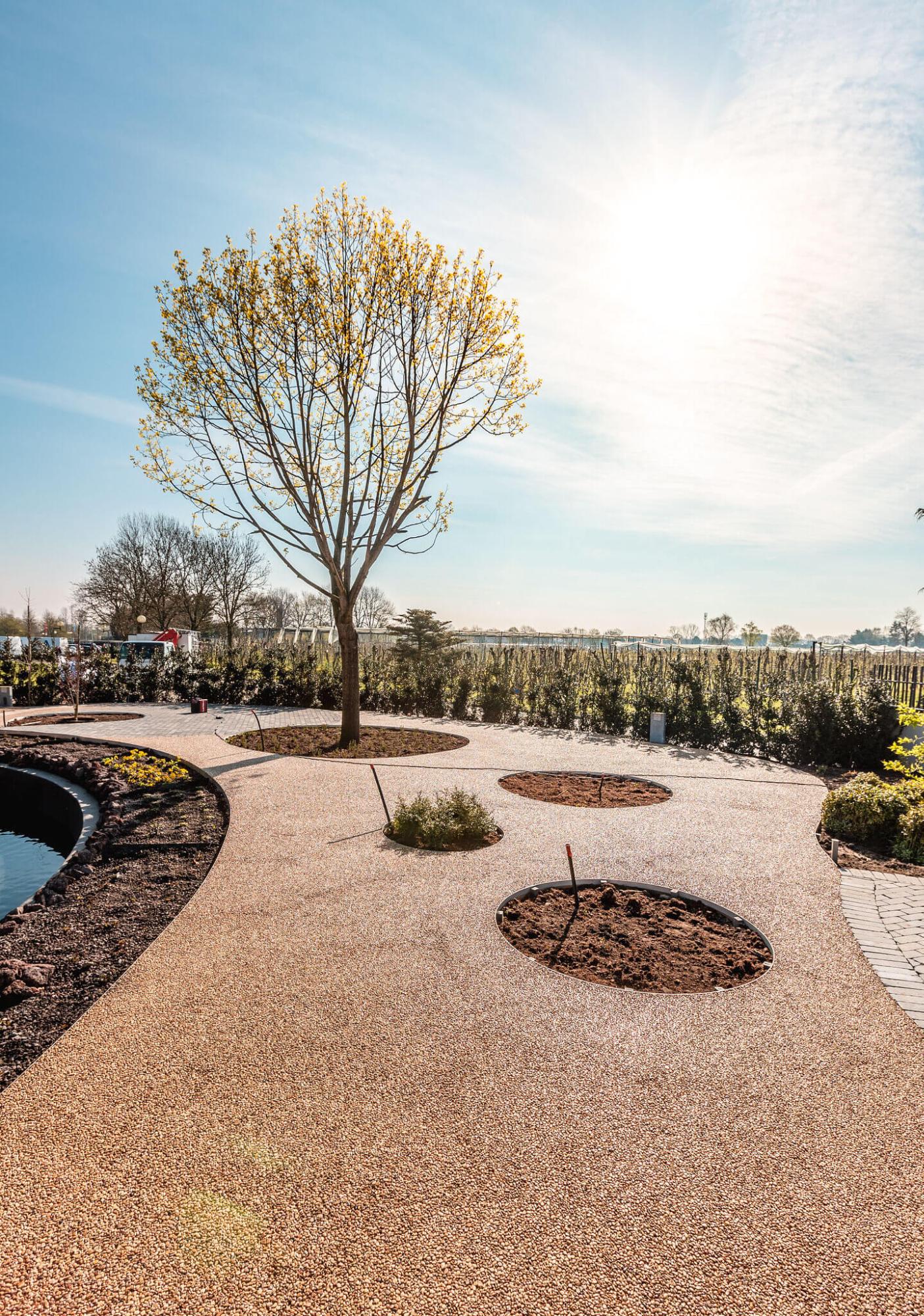 Sierlijk tuinpad in terradec afwerking met ronde plantvakken en boom in moderne tuin.<br />
